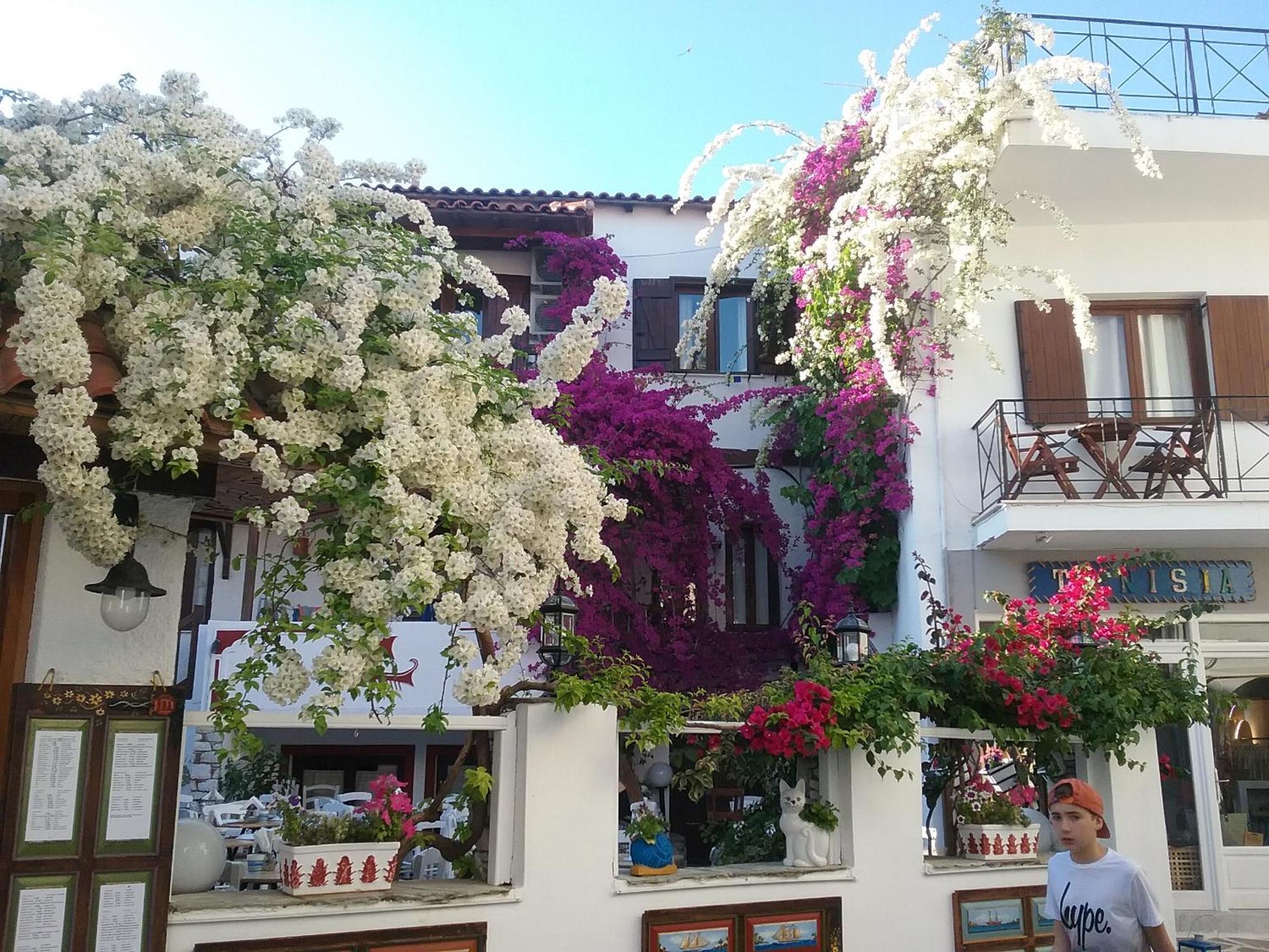 Mouria Hotel Skiathos Town Exterior foto
